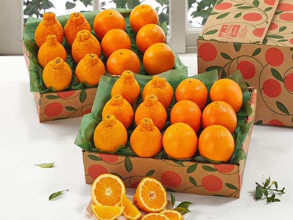 2 Trays - Golden Honeybells and Navel Oranges