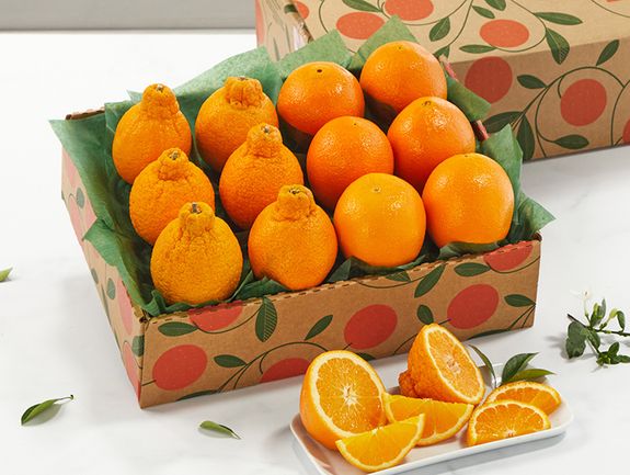1 Tray - Golden Honeybells and Navel Oranges