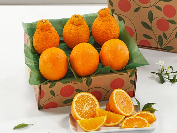 Sampler Tray - Golden Honeybells and Navels