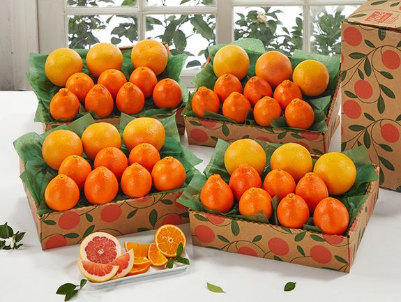 4 Trays, Honeybells & Ruby Red Grapefruit, Approx. 36 Pounds