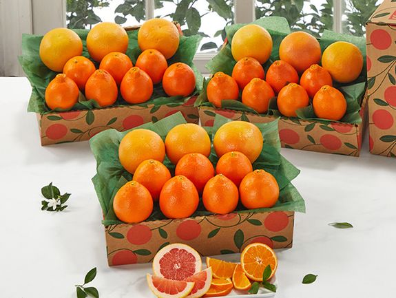 3 Trays Honeybells & Ruby Red Grapefruit, Approx. 27 Pounds