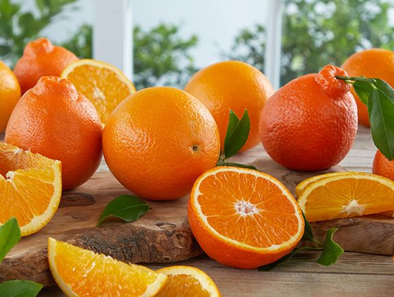 Honeybells and Navel Oranges