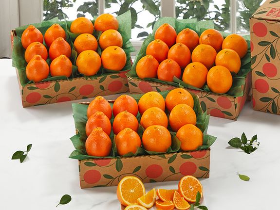 3 tray Navels and Honeybells