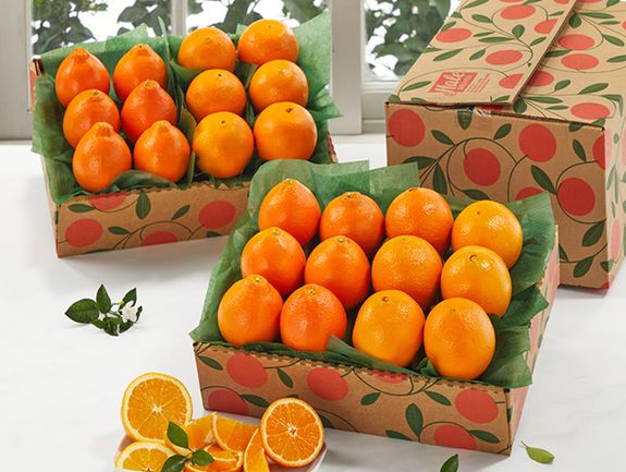 2 tray Navels and Honeybells