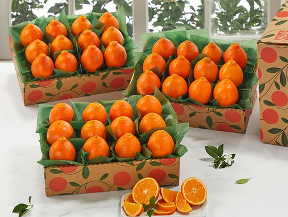 3 Trays All Oranges