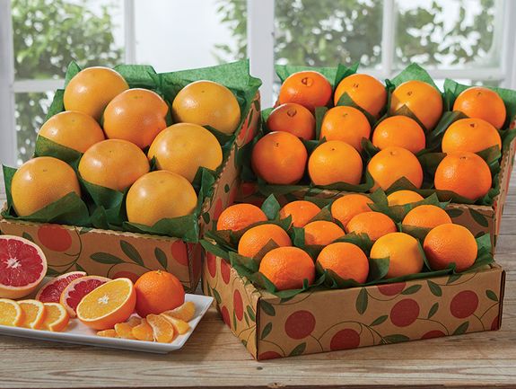 Grove Favorites Trio