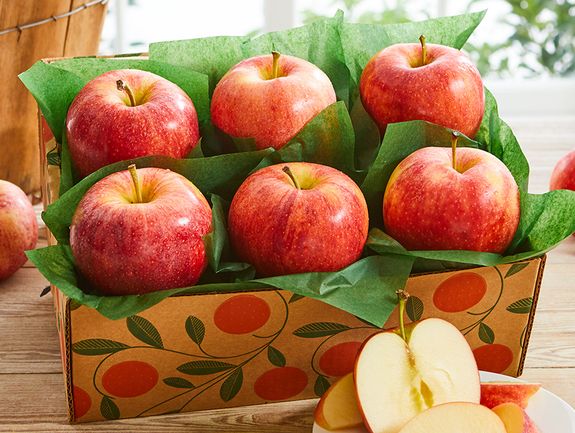 Orchard Fresh Apples
