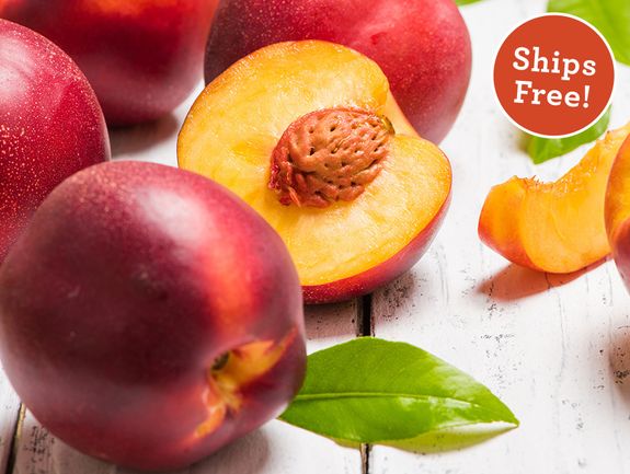 12 Farm-Fresh Nectarines