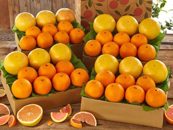 Cara Cara Navel Oranges & Ruby Red Grapefruit