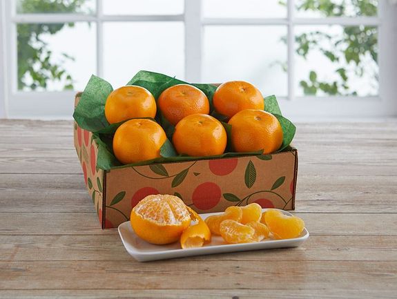 Sampler Tray of Holiday Golds