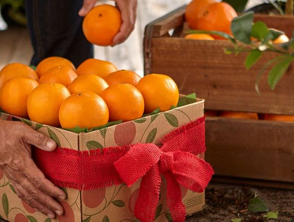 1 Tray - All Oranges