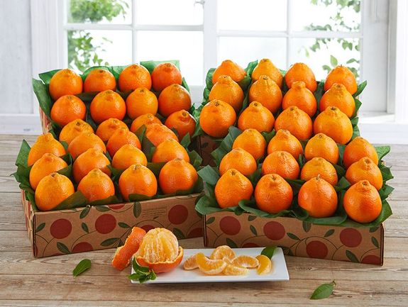 4 Trays of Sugar Belles