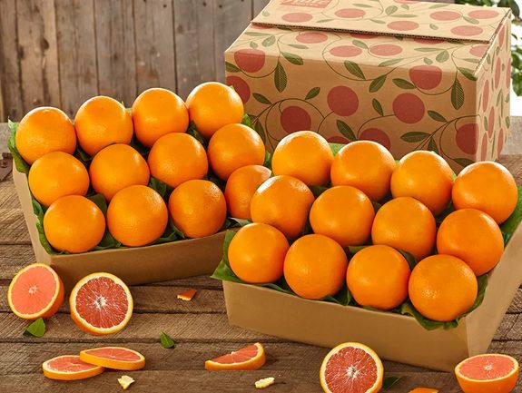 Enjoy 2 Trays for the Price of 1