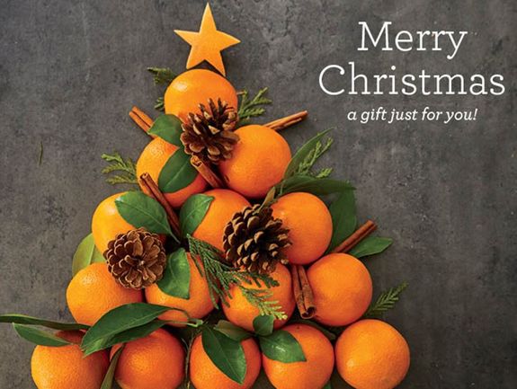 Merry Christmas Design 1