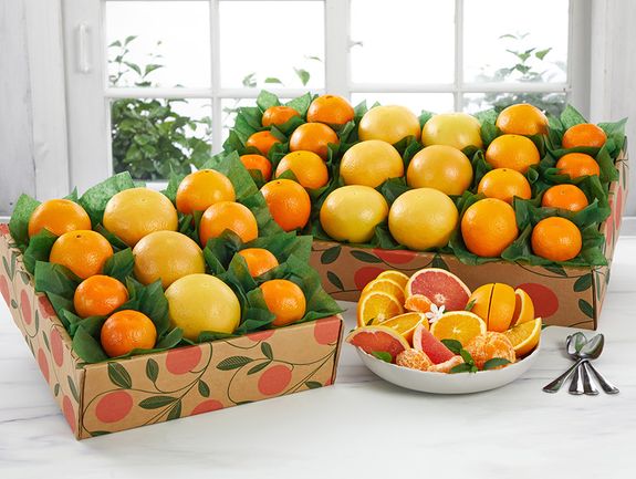 Treasure Coast Trio - Navel Oranges, Ruby Red Grapefruit, Tangerines plus Free Grapefruit Spoons