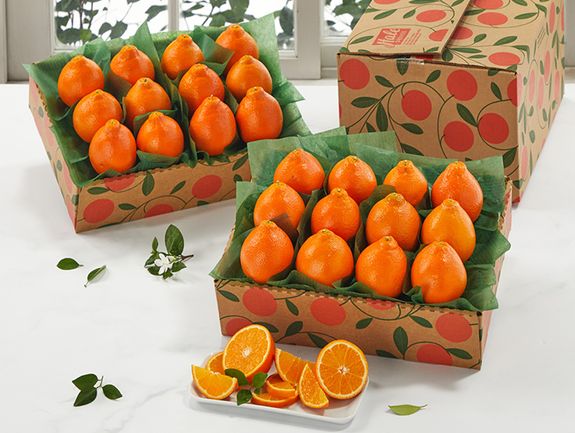 2 Trays All Oranges