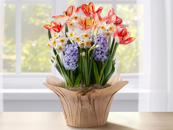 Spring Blossoms Bulb Garden