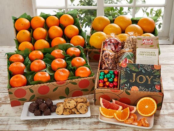 Grove Favorites Trio & Holiday Bundle