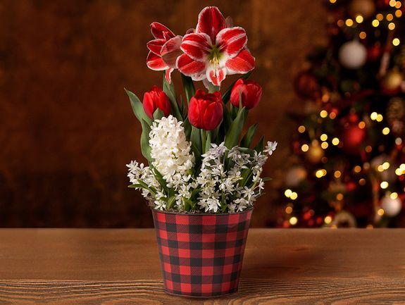 Holiday Joy Bulb Garden