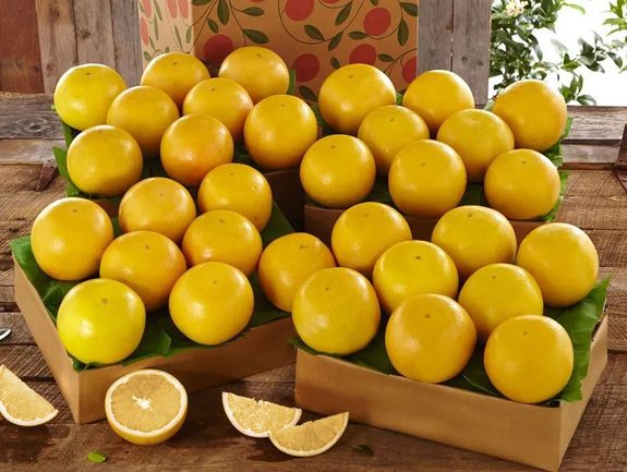 4 Trays of White Grapefruit, Approx. 36 lbs.