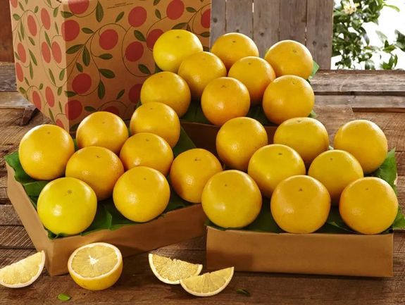 3 Trays of White Grapefruit, Approx. 27 lbs.