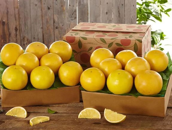 2 Trays of White Grapefruit, Approx. 18 lbs.