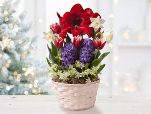 Shop Gifts that Bloom