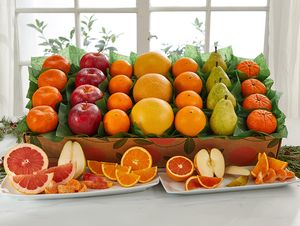   CITRUS GROVE 6枚セット 約27cm Citrus Club – Marmalade Grove