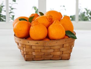 Golden Honeybell Basket