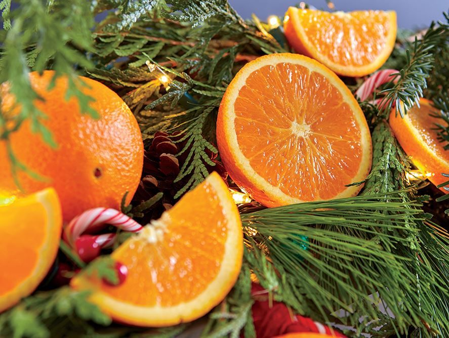 Florida Navel Oranges Hale Groves Ship Florida Oranges