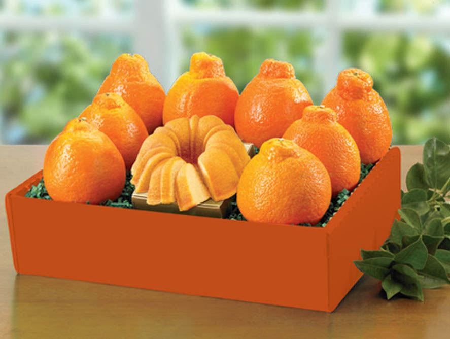 Honeybell Gift Pack - Hale Groves - Send Florida Fruit