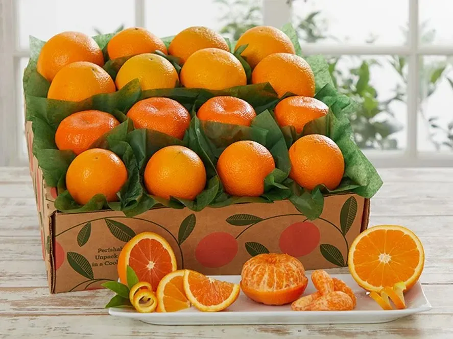 Orange Extravaganza | Hale Groves