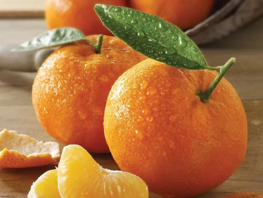 Florida Honey Sweet Tangerines Ship Tangerines Send Tangerines