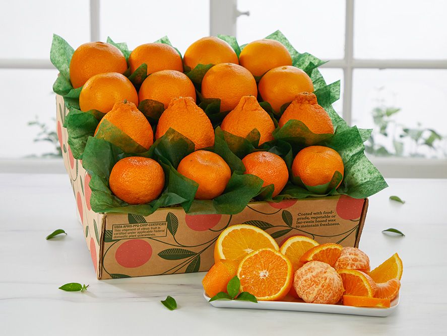 Golden Honeybell Extravaganza | Hale Groves