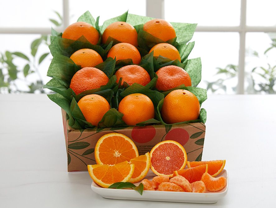 Sunshine Citrus sunshine-citrus