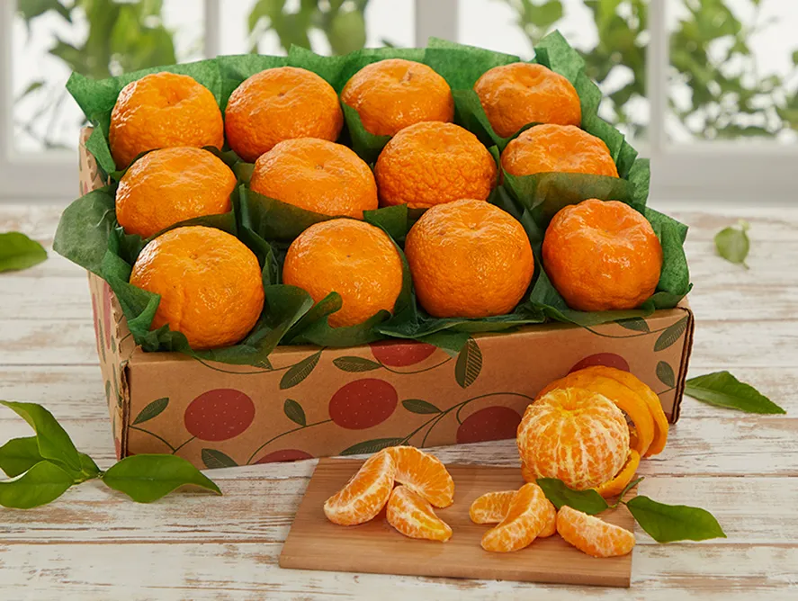 超美品 Golden Nugget Orange ゴールデンナゲット オレンジ 超美品 超美品 Golden Nugget Orange ゴールデンナゲット オレンジ 超美品