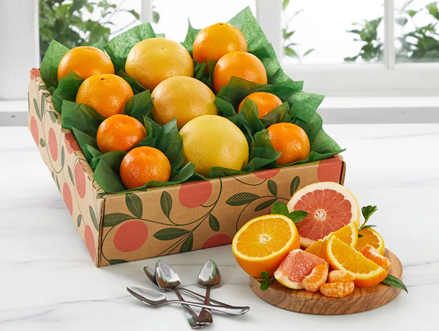 Treasure Coast Trio Sampler | Hale Groves