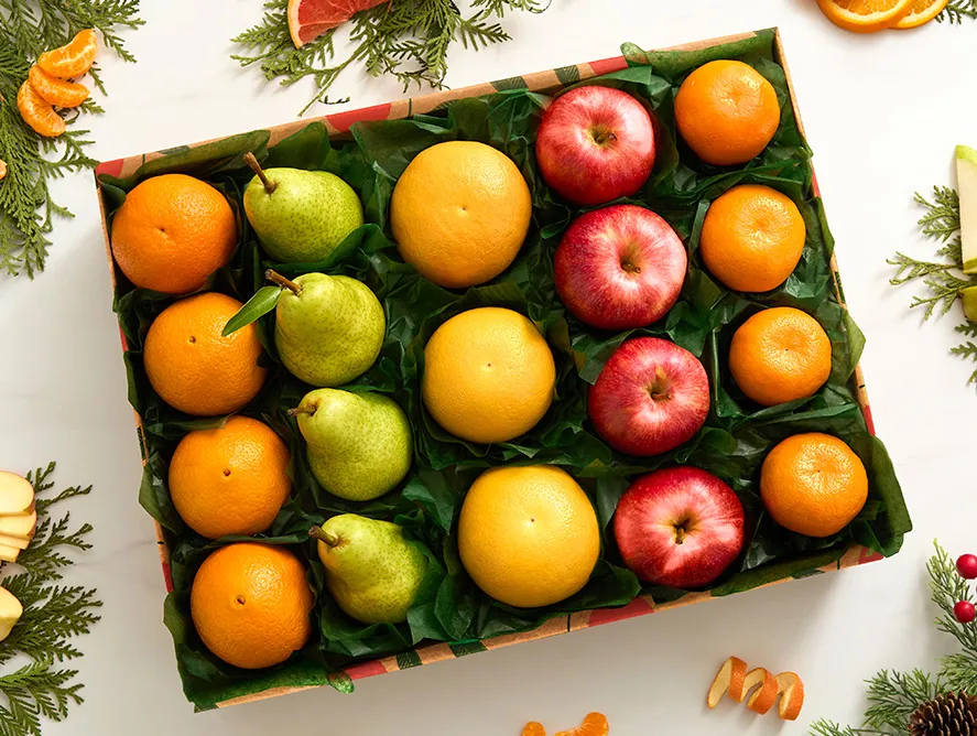 The Five Favorites Collection