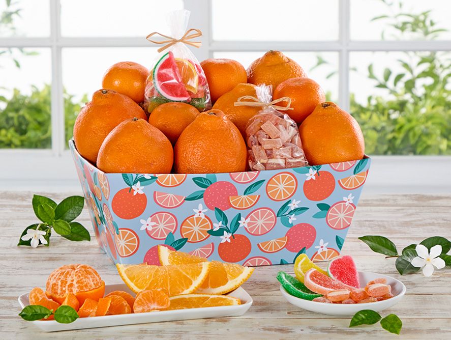 Citrus Pop Basket Box - Large