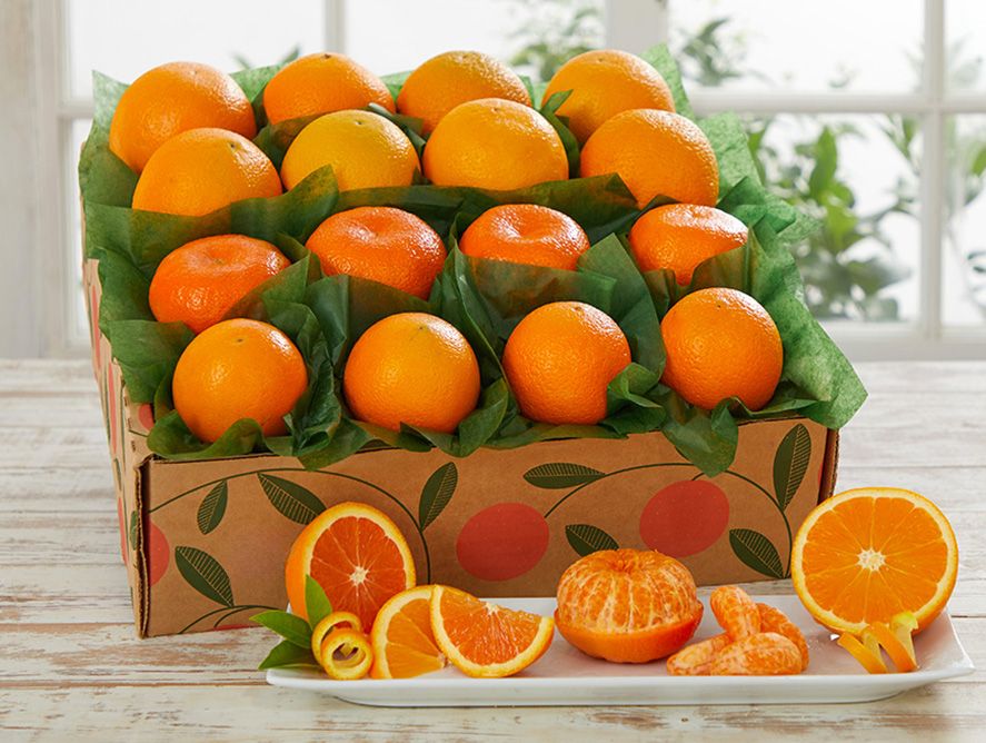 Orange Extravaganza - Florida Oranges - Hale Groves