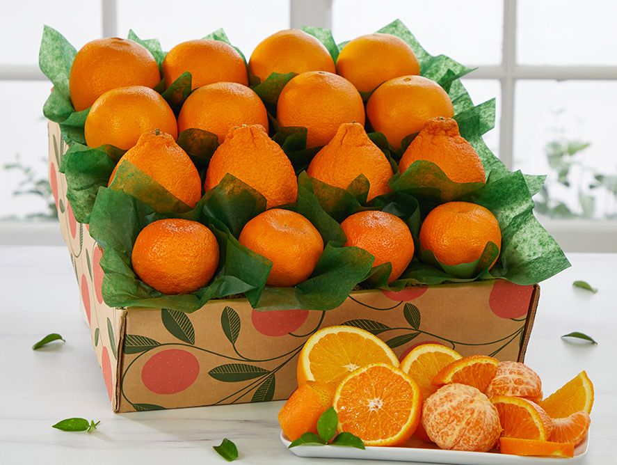 Golden Honeybell Extravaganza | Hale Groves