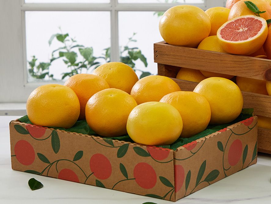 Citrus Lovers Club - 8 Months - All Grapefruit | Hale Groves