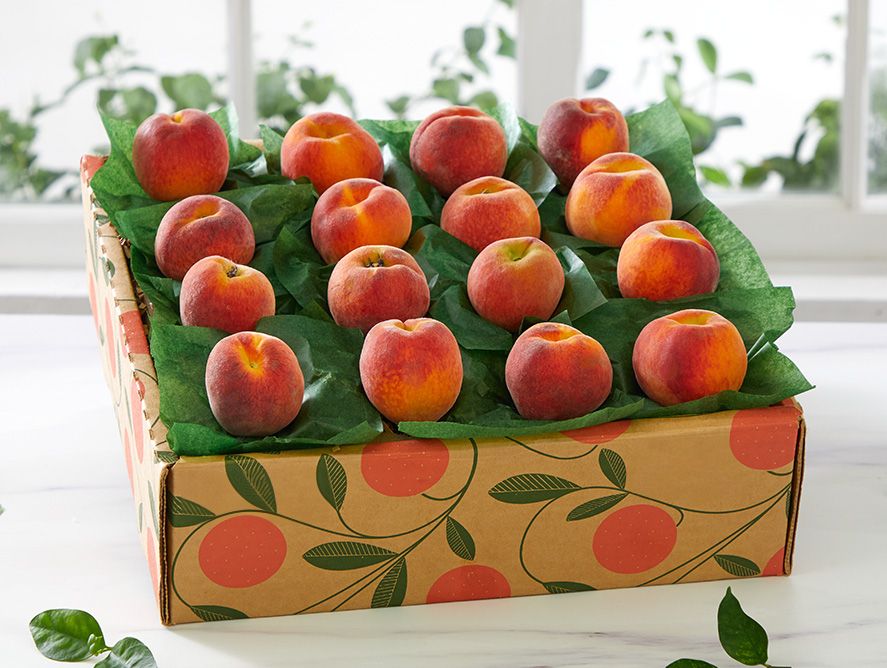 16 Florida Peaches