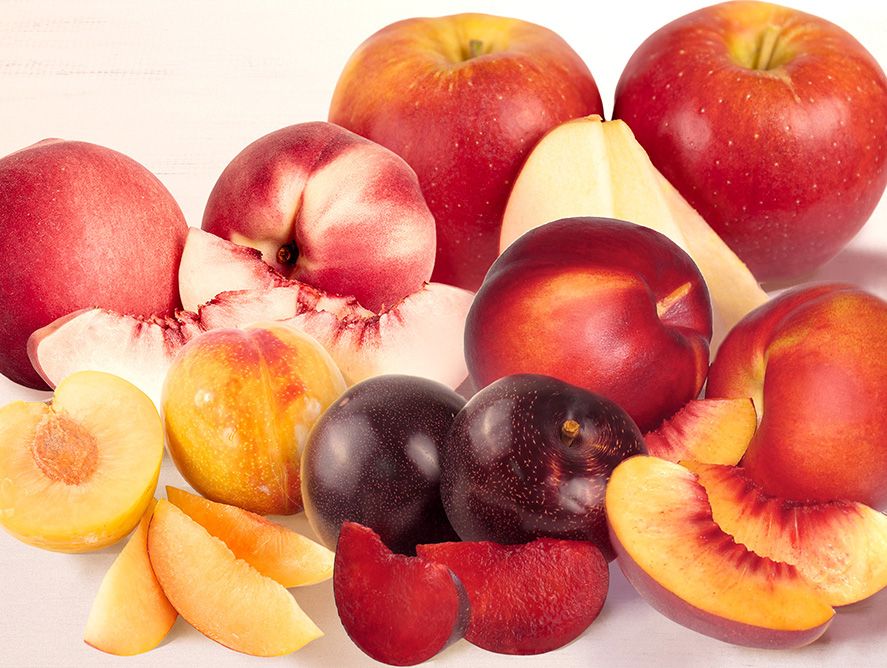 Harvesters Choice Summer Trio