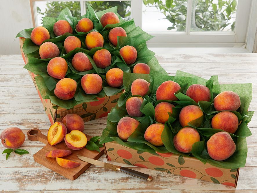 HG25-FloridaPeaches_02.jpg