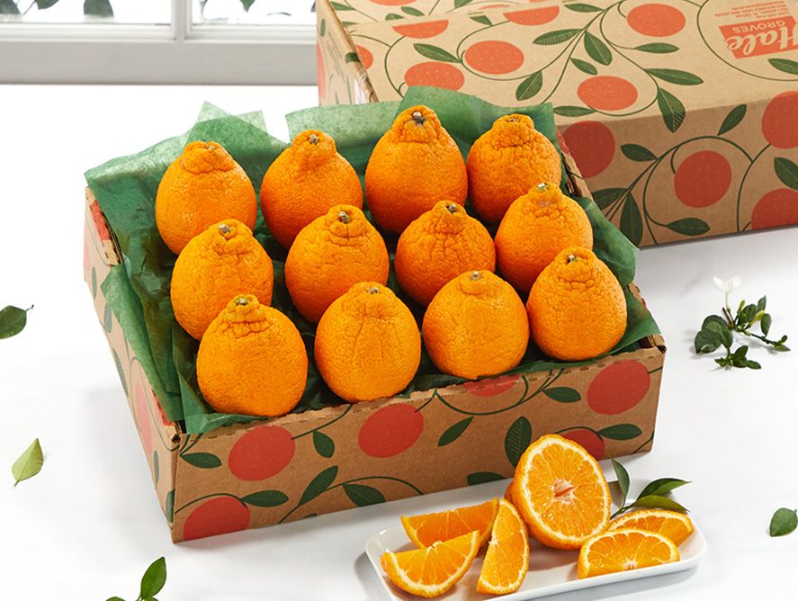 Golden Honeybells - 1 Tray