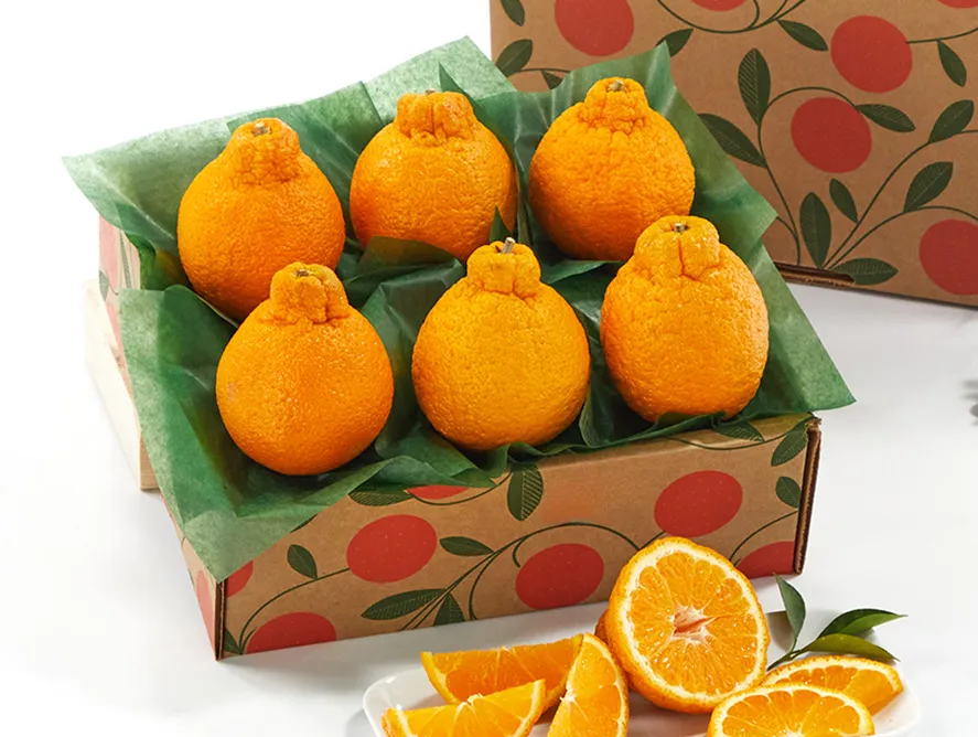 Golden Honeybells - Sampler Tray