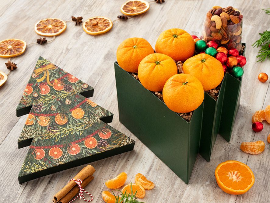 Hale Christmas Tree Gift Box