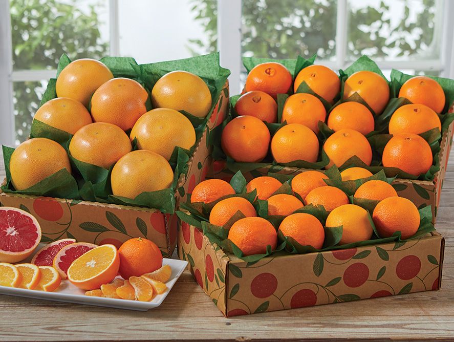 Grove Favorites Trio