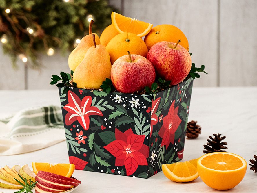HG26-FestiveFruit_01.jpg